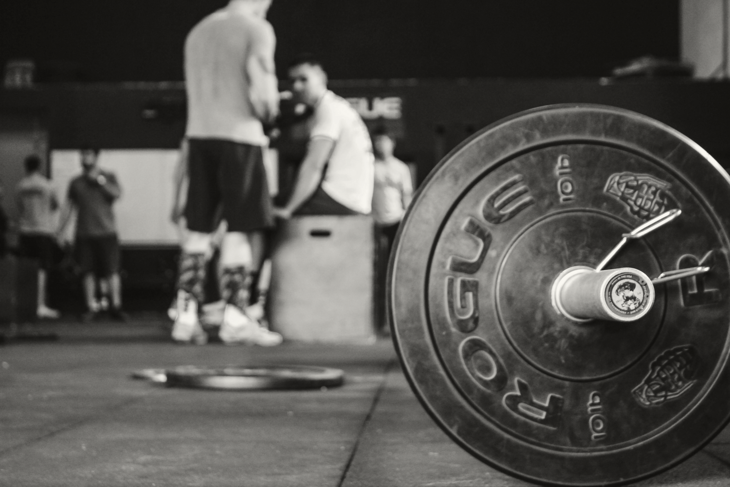 Sign Up For A Free Training Session